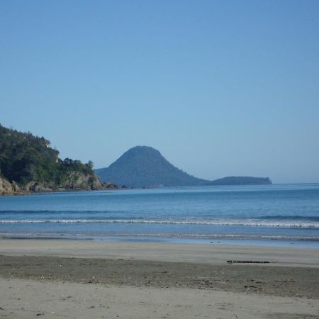 Beachfront Bliss Ohope Екстериор снимка