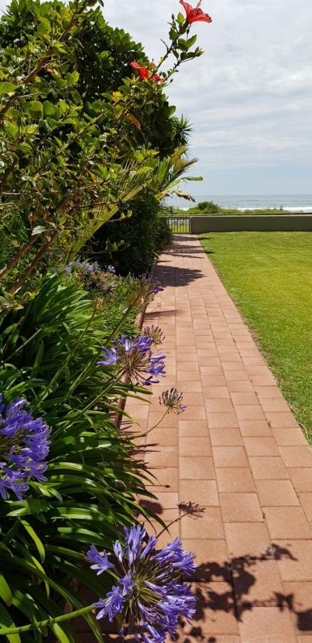 Beachfront Bliss Ohope Екстериор снимка